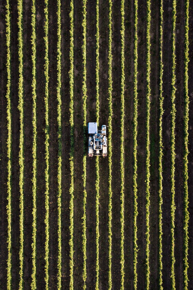 Aerial view of a tractor working in neat rows of a field, showcasing modern agriculture.
